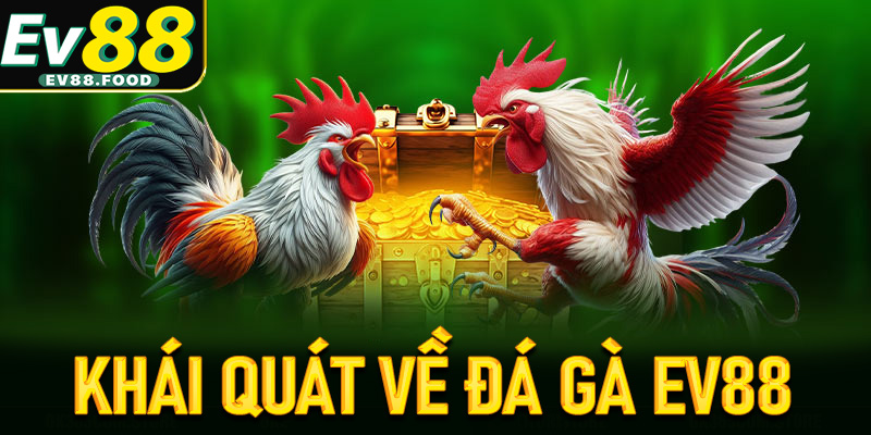 Thông tin khái quát chung về sảnh đá gà EV88