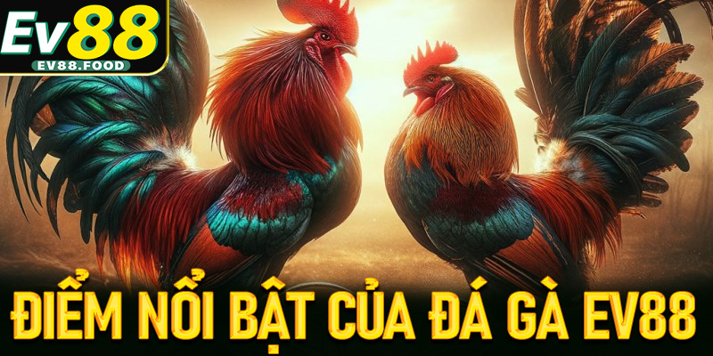 Tìm hiểu về những điểm nổi bật của trò chơi đá gà EV88