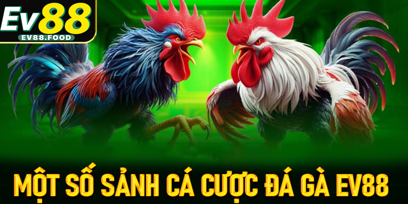 Giới thiệu một số sảnh cá cược đá gà EV88 hot nhất Việt Nam