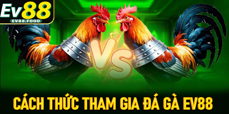 Hướng dẫn chi tiết các thao tác tham gia cá cược tại đá gà EV88